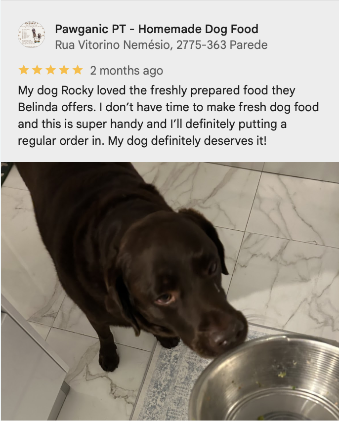 Rocky enjoying Pawganic PT food